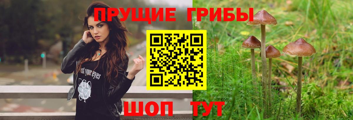 Псилоцибиновые грибы Magic Shrooms  Вход с VPN  Усть-Джегута 